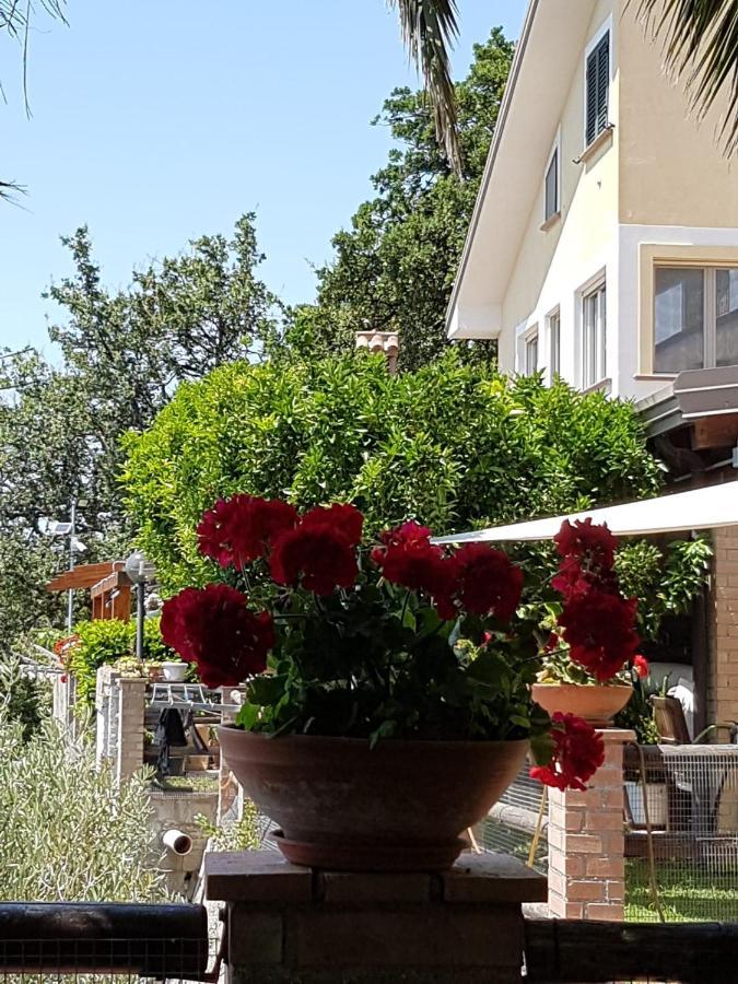 B&B L'Eucalipto Paola Ngoại thất bức ảnh